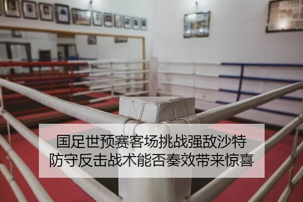 guo-zu-shi-yu-sai-ke-chang-tiao-zhan-qiang-di-sha-te-fang-shou-fan-ji-zhan-shu-neng-fou-zou-xiao-dai-lai-jing-xi-2-297.jpg