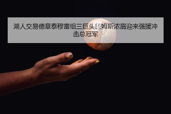 湖人交易德章泰穆雷组三巨头詹姆斯浓眉迎来强援冲击总冠军